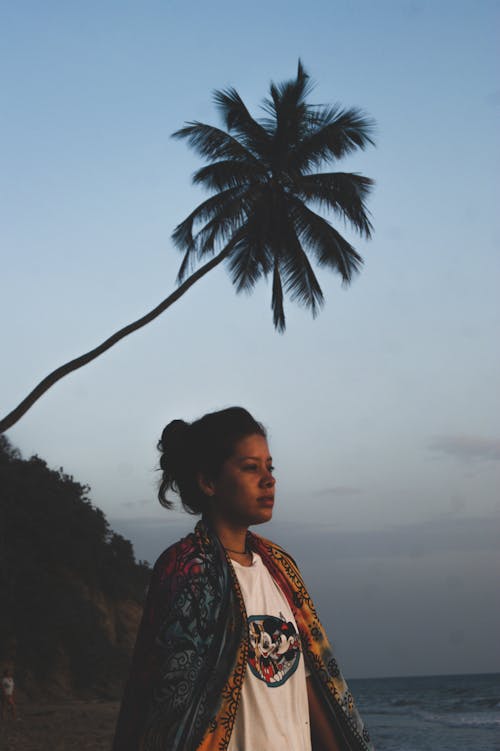 Darmowe zdjęcie z galerii z drzewo palmowe, horyzont, kobieta