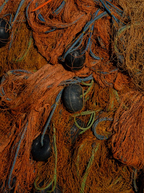 Darmowe zdjęcie z galerii z pionowy strzał, pomarańczowa siatka, siatka