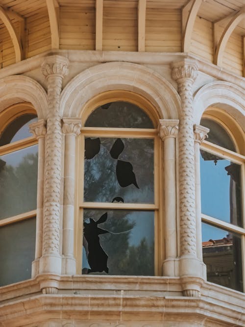 Základová fotografie zdarma na téma kalamita, odraz, okna