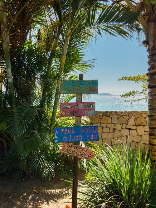 Free Vibrant directional signs with Portuguese text surrounded by tropical plants near a coastal wall. Stock Photo