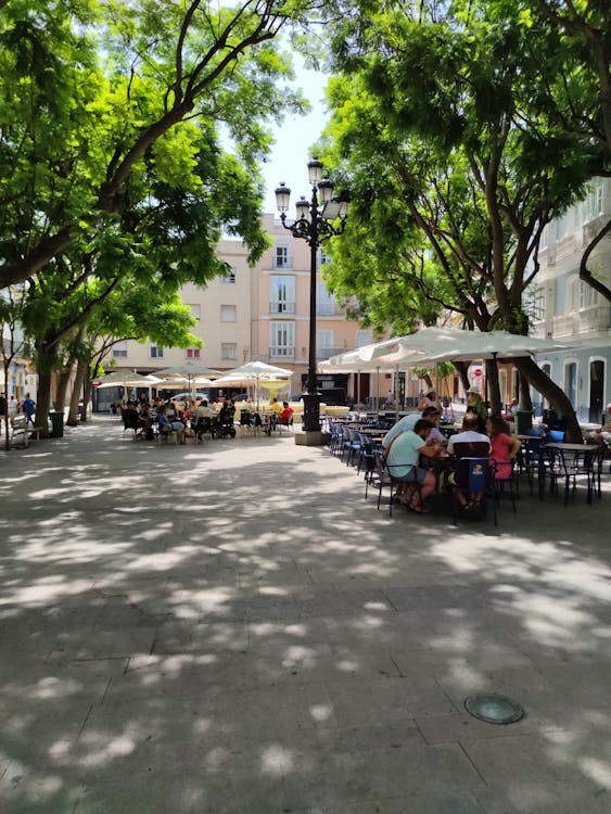 plaza del Mentidero de Cádiz