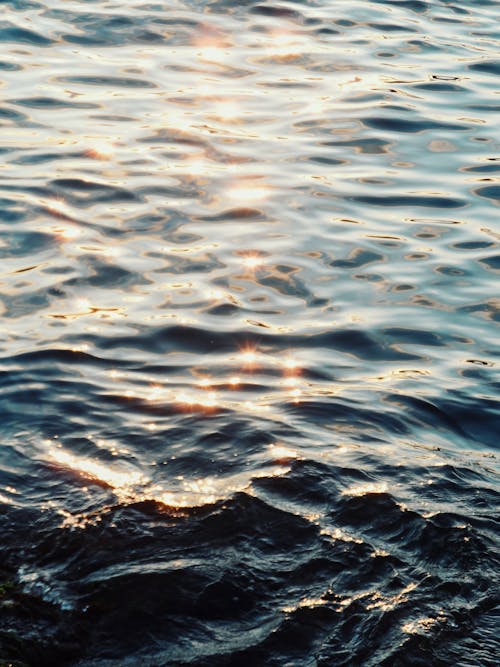 Shiny Water Surface · Free Stock Photo