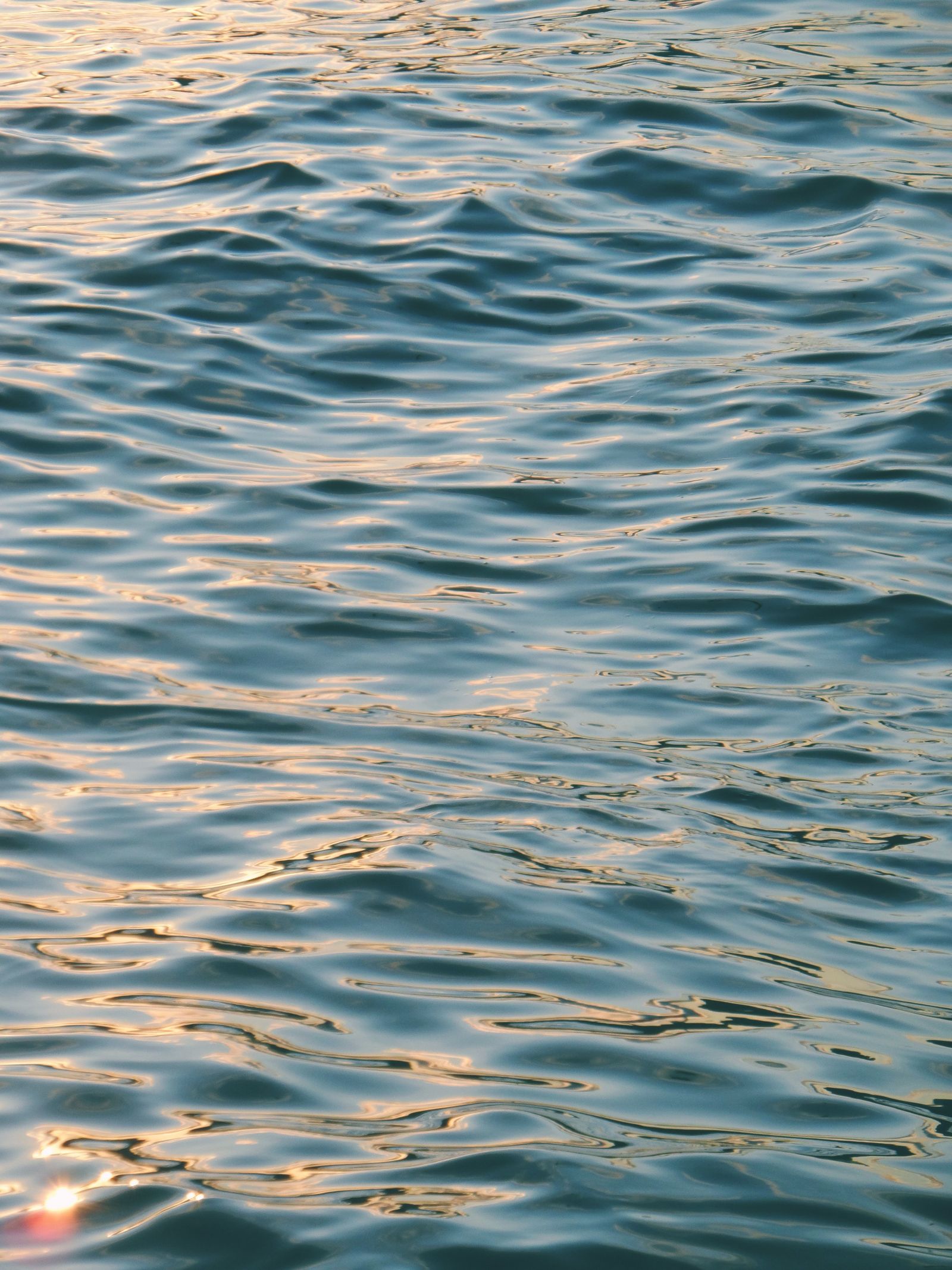 Wavy Fishy Wavy Ocean Surface · Free Stock Photo