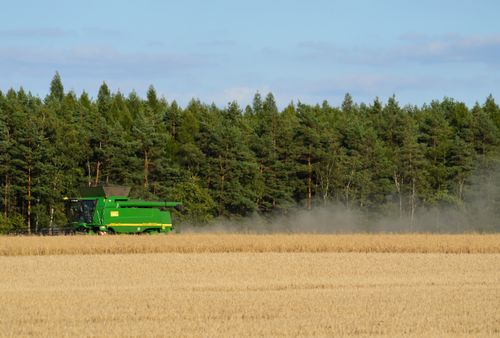 Free A combine harvester operating in a wheat field beside a forest under a clear summer sky. Stock Photo