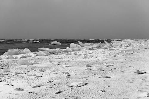 冰, 冰山, 冰島 的 免費圖庫相片