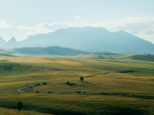 Green Grassland and Hills behind