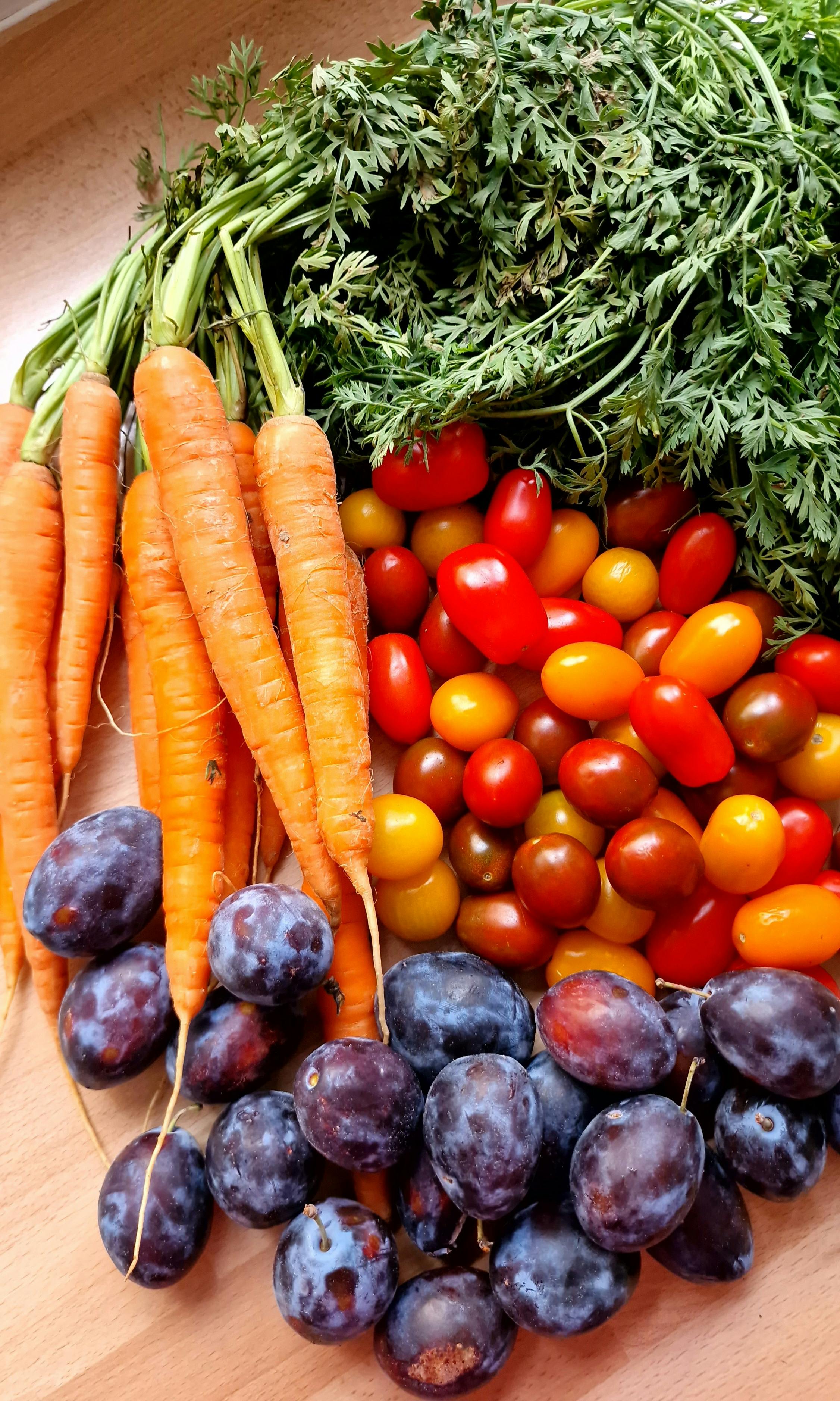 carrot seedlings thinning uk
