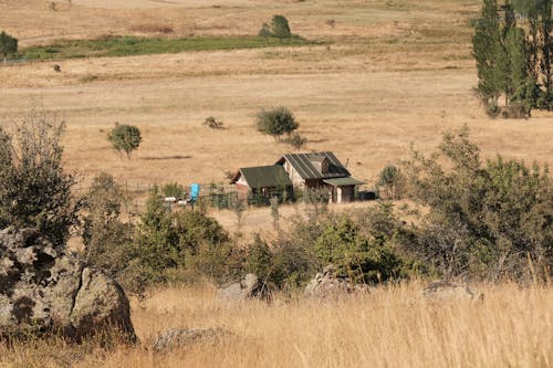 House in Countryside with Dry Grass 