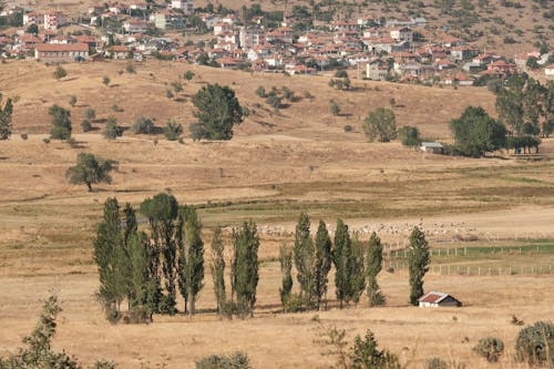 Foto stok gratis alam, Desa, halaman rumput