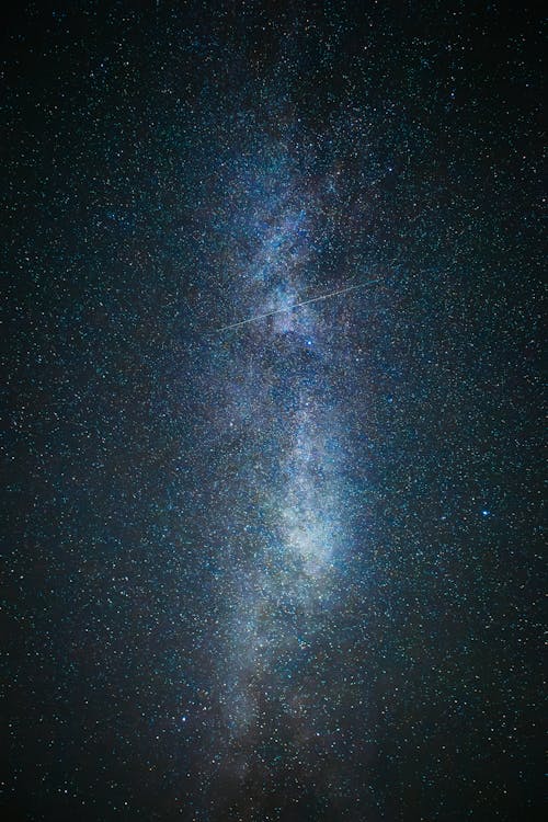 Night Sky with Milky Way