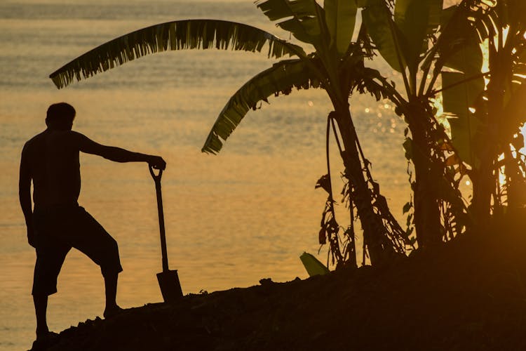 Silhouette Of Man With Shovel On Sea Shore