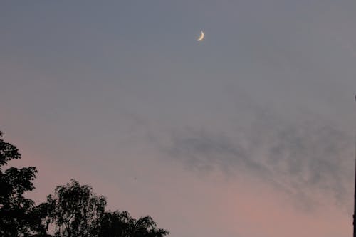 Free stock photo of beautiful sunset, evening sun, half moon