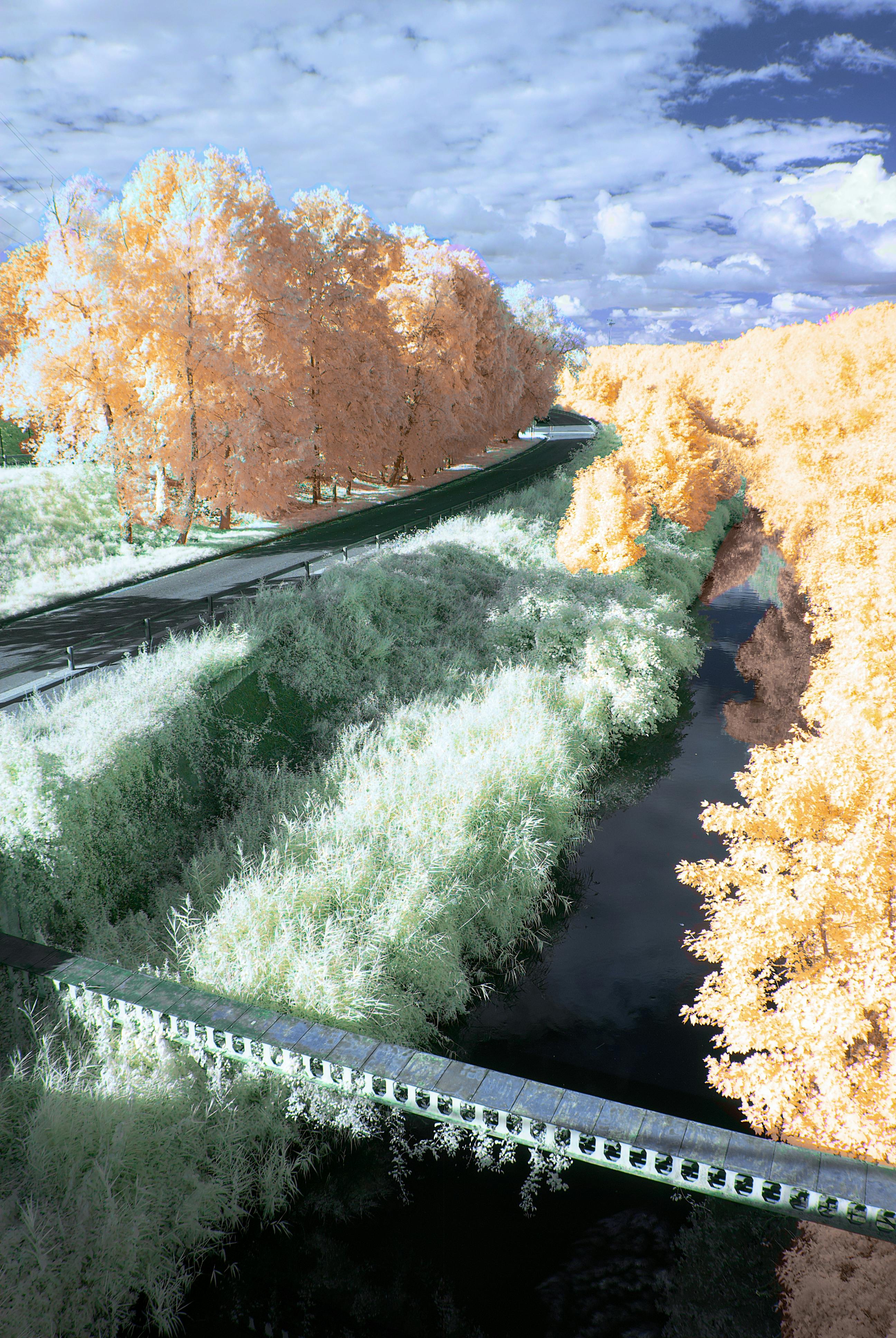 A stunning infrared aerial of a rural road beside a river lined with vibrant trees.