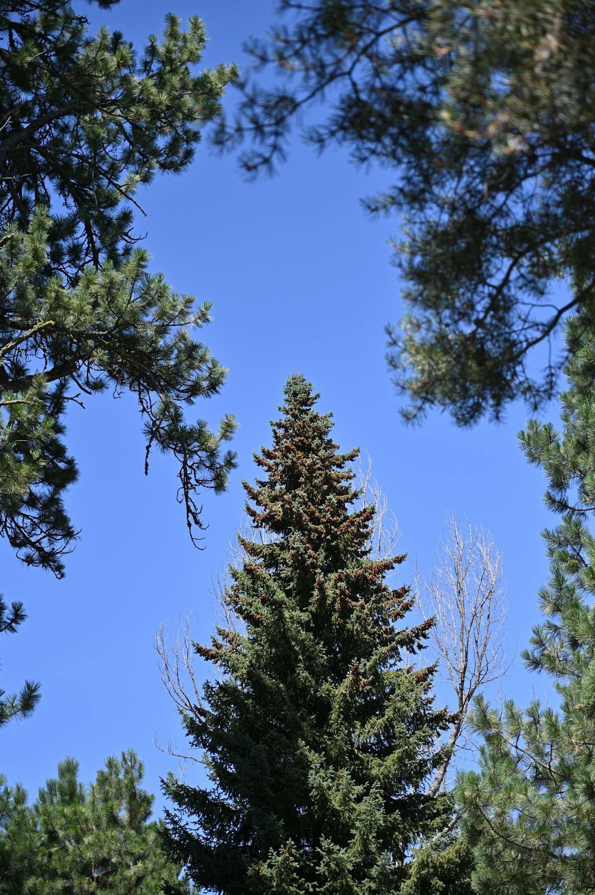 Person scrolling social media on a smartphone at night