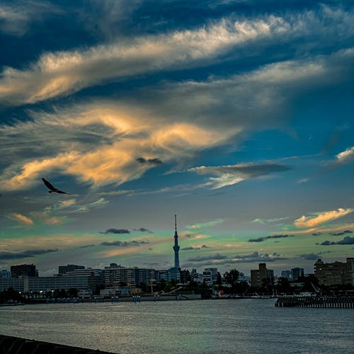 Základová fotografie zdarma na téma Japonsko, nádherný západ slunce, tokio