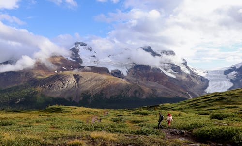 Foto d'estoc gratuïta de fent excursionisme, glacera, herba