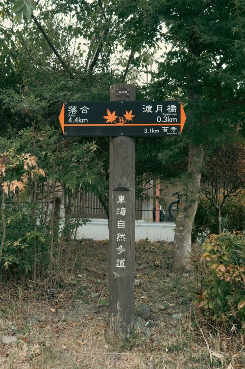 Free Scenic Kyoto forest with a wooden signpost guiding directions. Stock Photo
