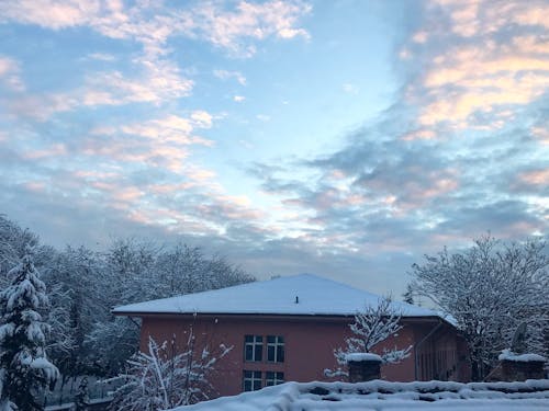 冬季, 雪 的 免费素材图片