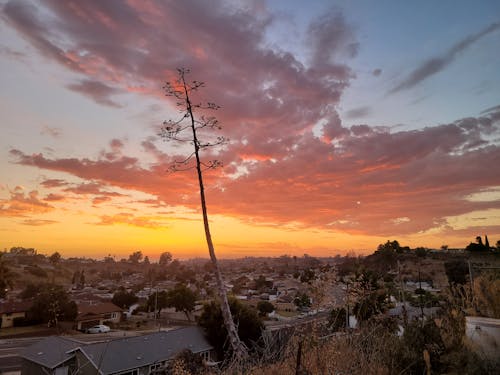 Orange Sky