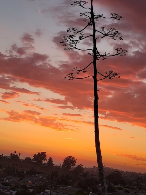 Základová fotografie zdarma na téma červený západ slunce, krásná obloha, nádherný západ slunce