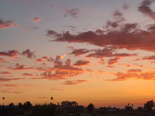 Cotton Candy Clouds