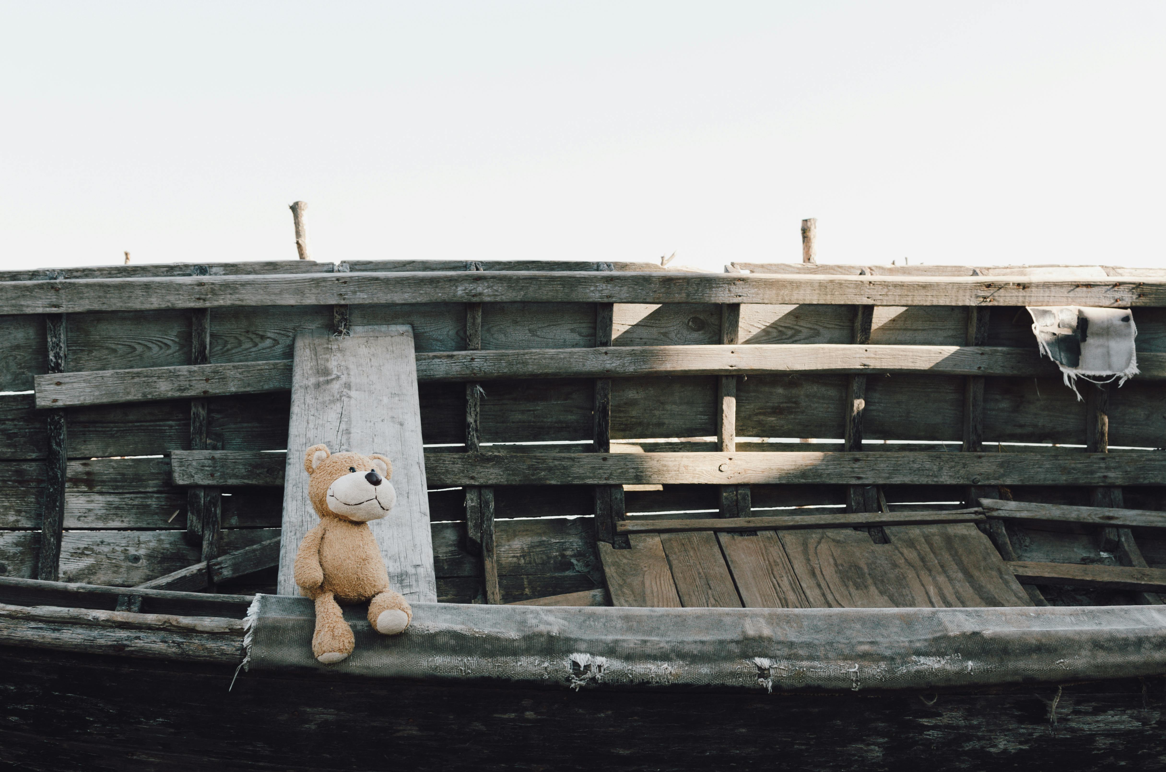 bear on a boat