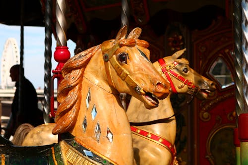 Darmowe zdjęcie z galerii z karuzela wesołe miasteczko, koń
