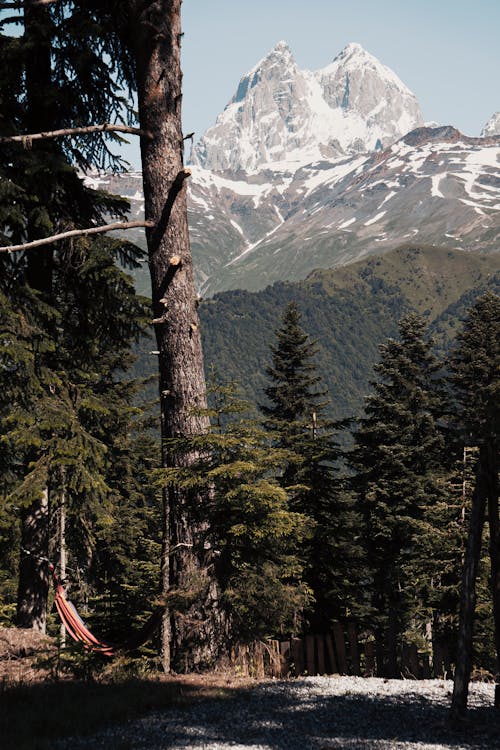 Ushba Berg In De Zomer Heldere Hemel