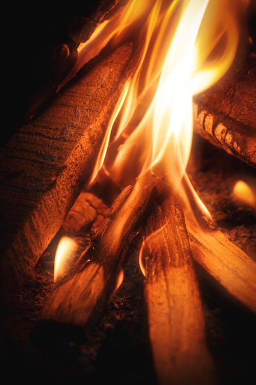 Kostenloses Stock Foto zu brand, brennholz, dämmerung
