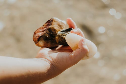 Close-up of a Hand Holding Stones 