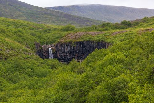 Free Svartifoss: The Black Waterfall in Iceland Stock Photo