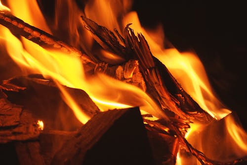 Close-Up of Burning Firewood