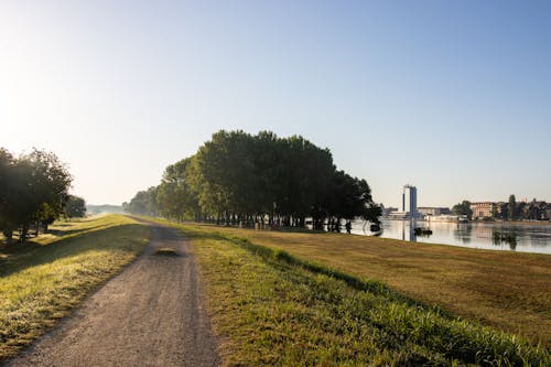 Foto profissional grátis de drava, osijek, paisagem