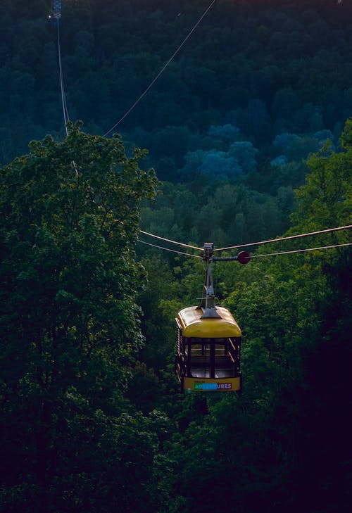 Ingyenes stockfotó kötélpálya, sigulda témában