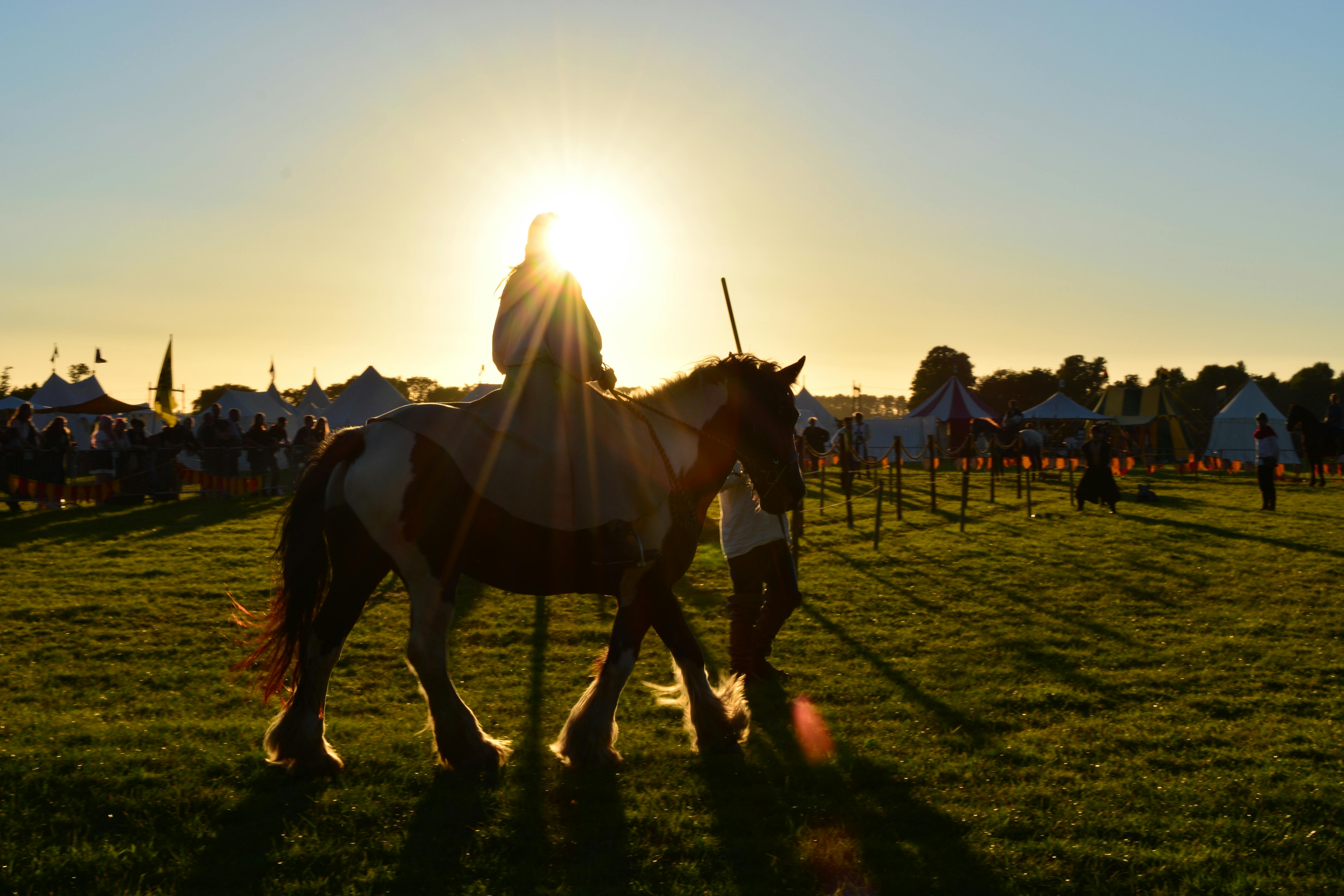 how-to-win-horse-races-in-bitlife-comprehensive-answer-nahf