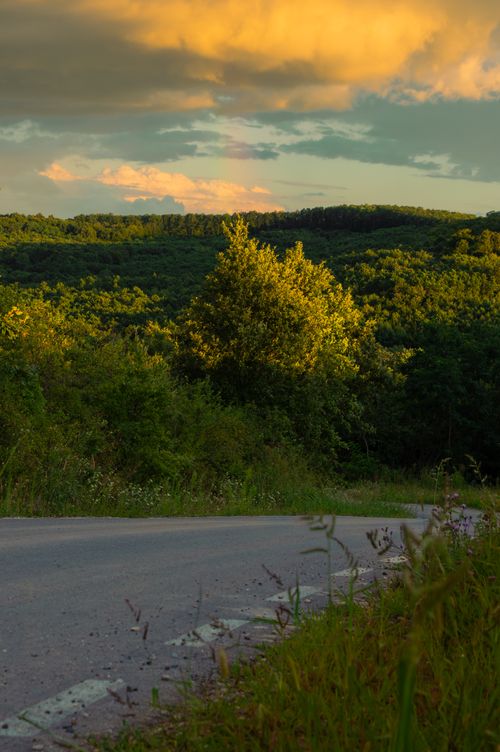 Free Captivating view of a rural road amidst dense forests under a vibrant sunset sky in Romania. Stock Photo