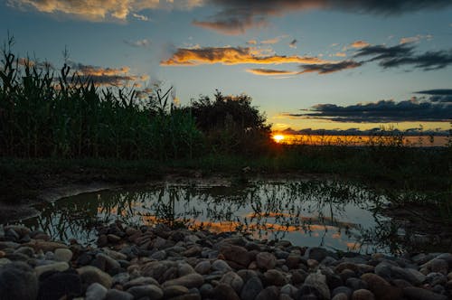 Free stock photo of colorful sky, lake, nature