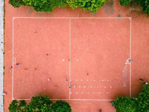 Foto stok gratis game, lapangan olahraga, manusia