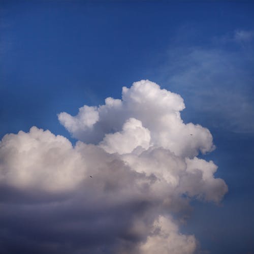 View of a Blue Sky and White Cumulus Clouds 