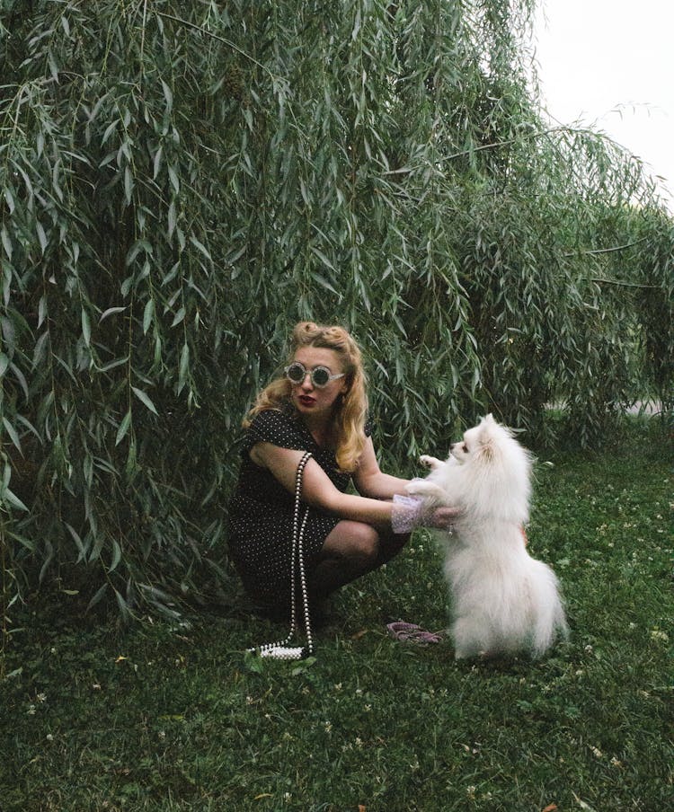 Woman Playing With Her Dog In A Park 