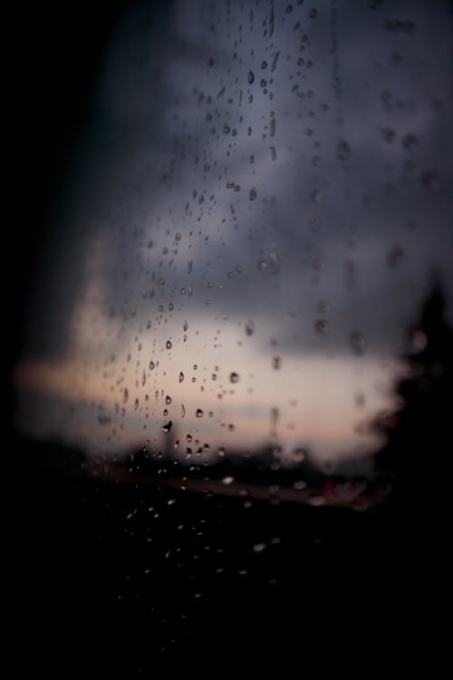 Rain Drops on Reflective Surface in Evening Light