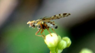 天气降温变冷问候短信 天气降温问候语暖心短信大全