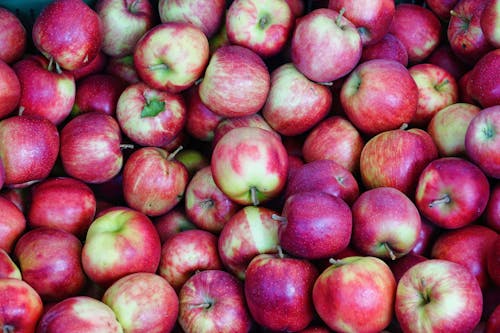 Kostenloses Stock Foto zu äpfel, frisch, frucht