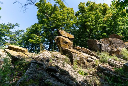 Free Serene forest scene with rocky formations and lush green trees under clear blue skies. Stock Photo