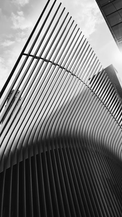 Ceiling of a Modern Building in Black and White