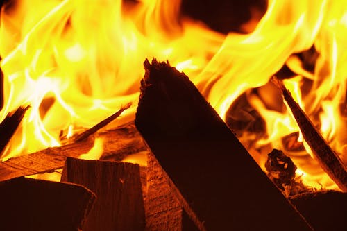 Free stock photo of camp fire