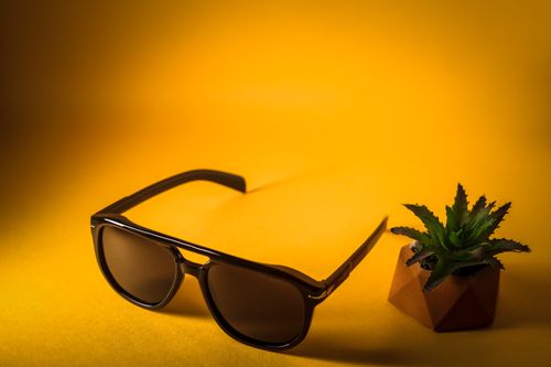 Free Stylish sunglasses paired with a succulent on a vibrant yellow backdrop, perfect for fashion and design themes. Stock Photo