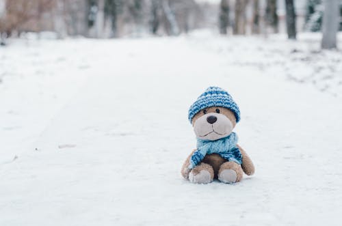 Stuffed Toy On Snow