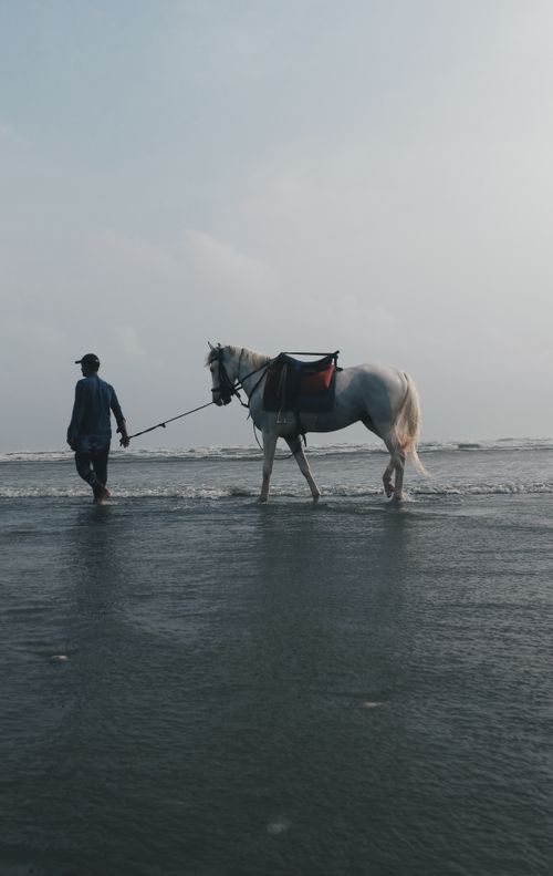 Free A man walks a white horse along a serene beach during sunset, creating a peaceful and picturesque scene. Stock Photo