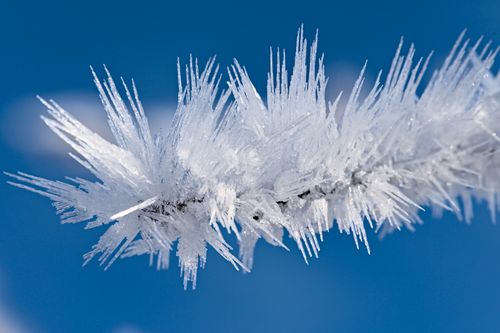 Free Detailed close-up of frost crystals on a branch against a clear winter sky. Stock Photo